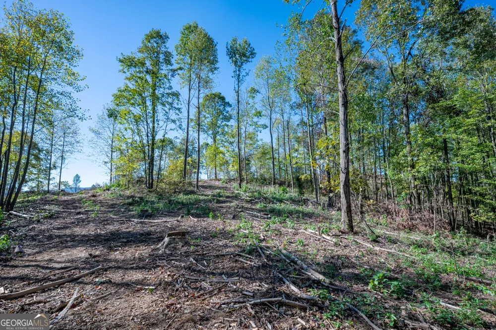 3887 HWY 140 NE Rydal, GA 30171