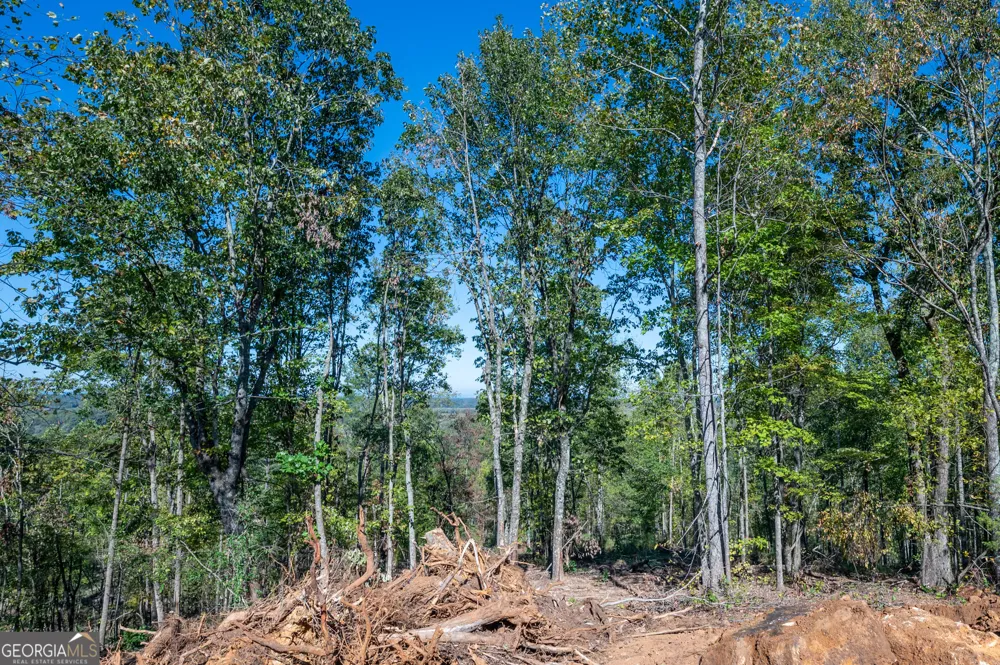 3887 HWY 140 NE Rydal, GA 30171