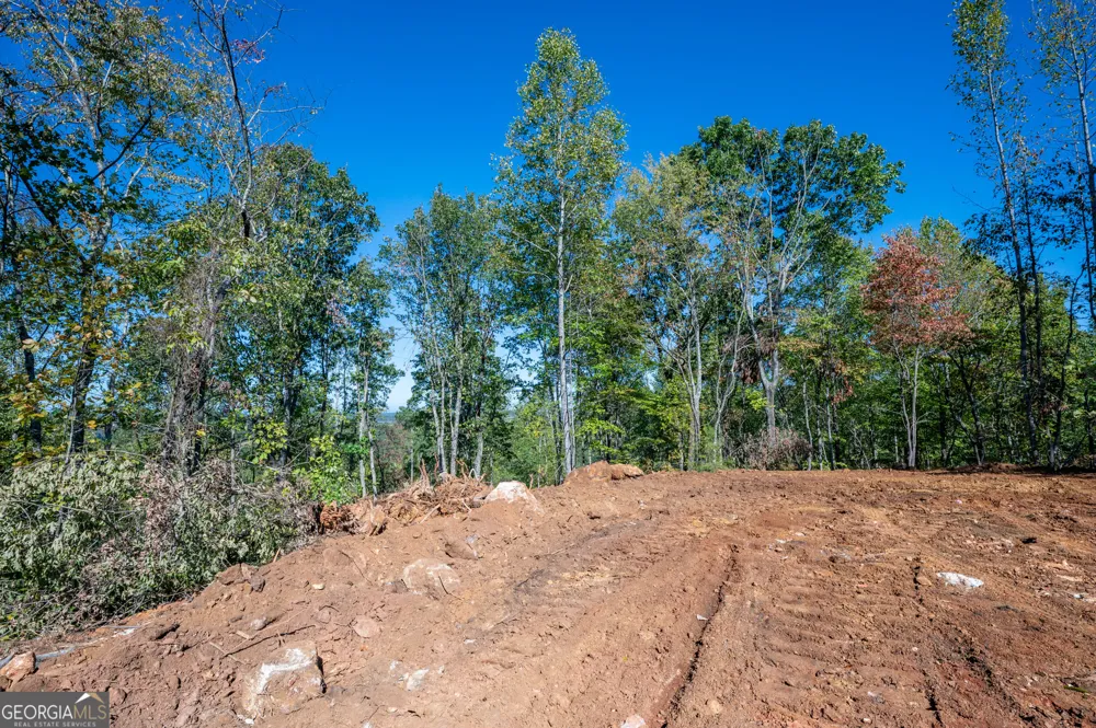 3887 HWY 140 NE Rydal, GA 30171