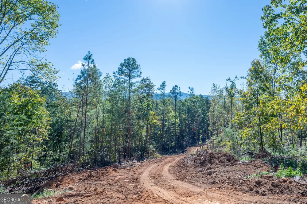 3887 HWY 140 NE Rydal, GA 30171