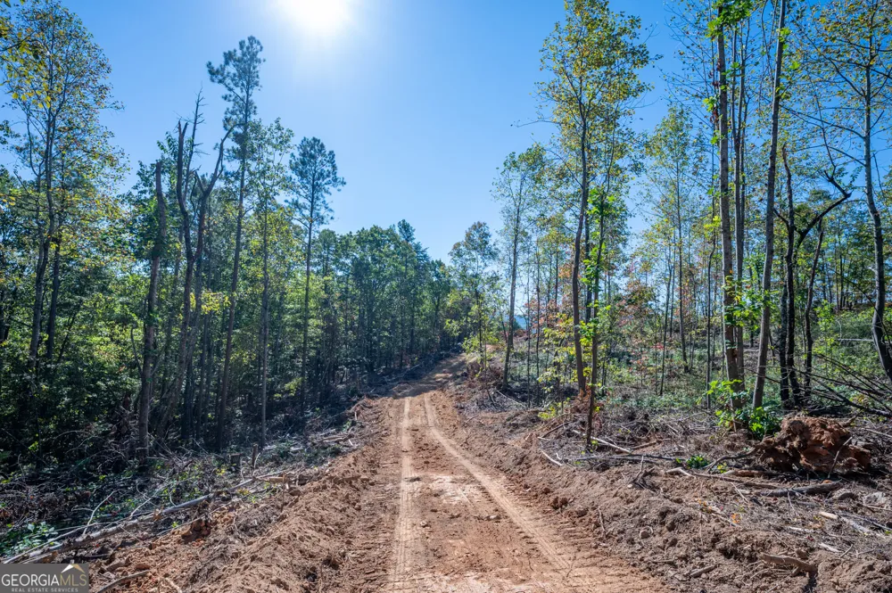 3887 HWY 140 NE Rydal, GA 30171