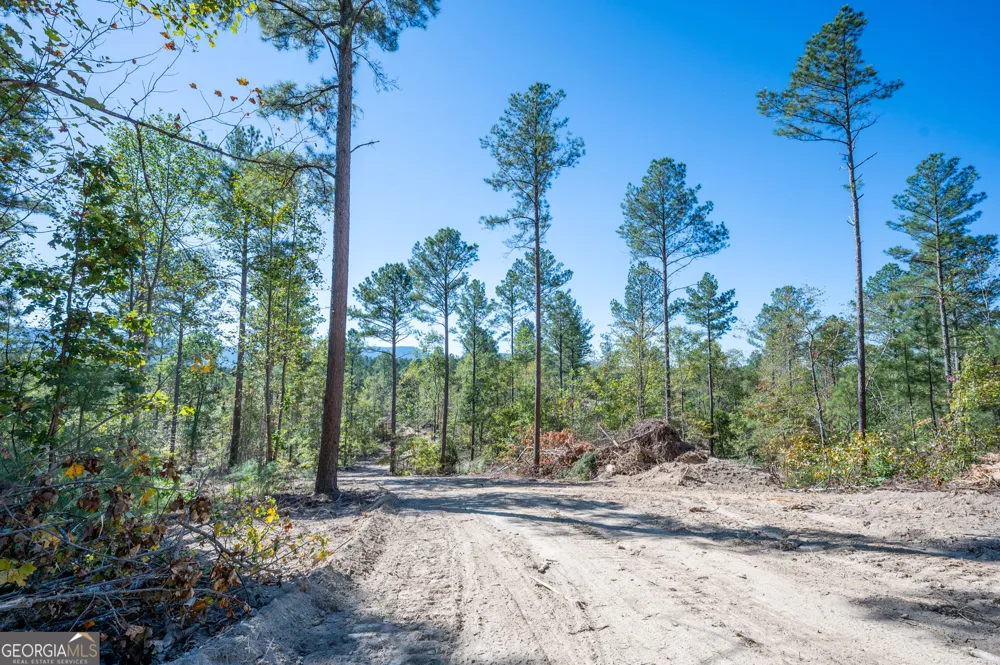 3887 HWY 140 NE Rydal, GA 30171
