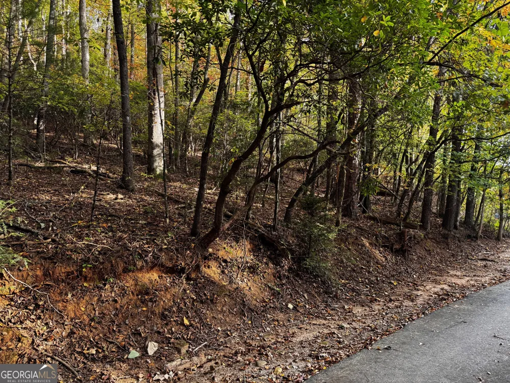 0 Wheeler Ridge Sautee Nacoochee, GA 30571