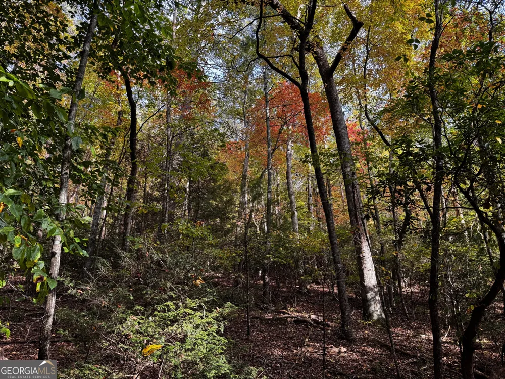 0 Wheeler LN Sautee Nacoochee, GA 30571