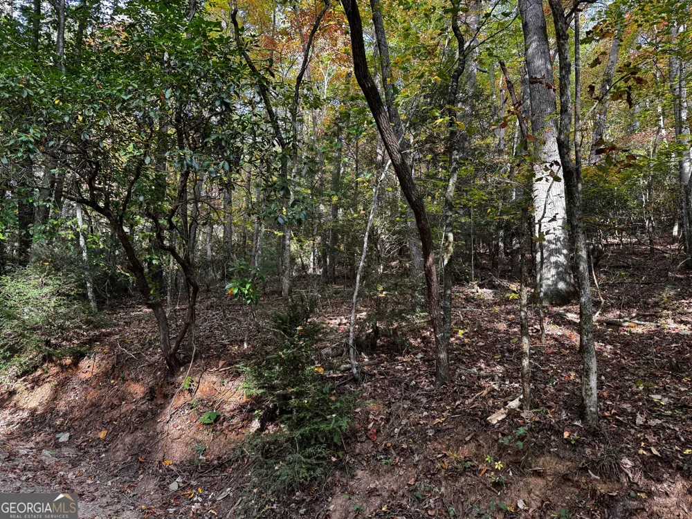 0 Skylake RD Sautee Nacoochee, GA 30571