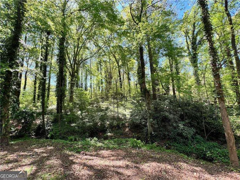2540 Stoney Brook LN NE Marietta, GA 30062