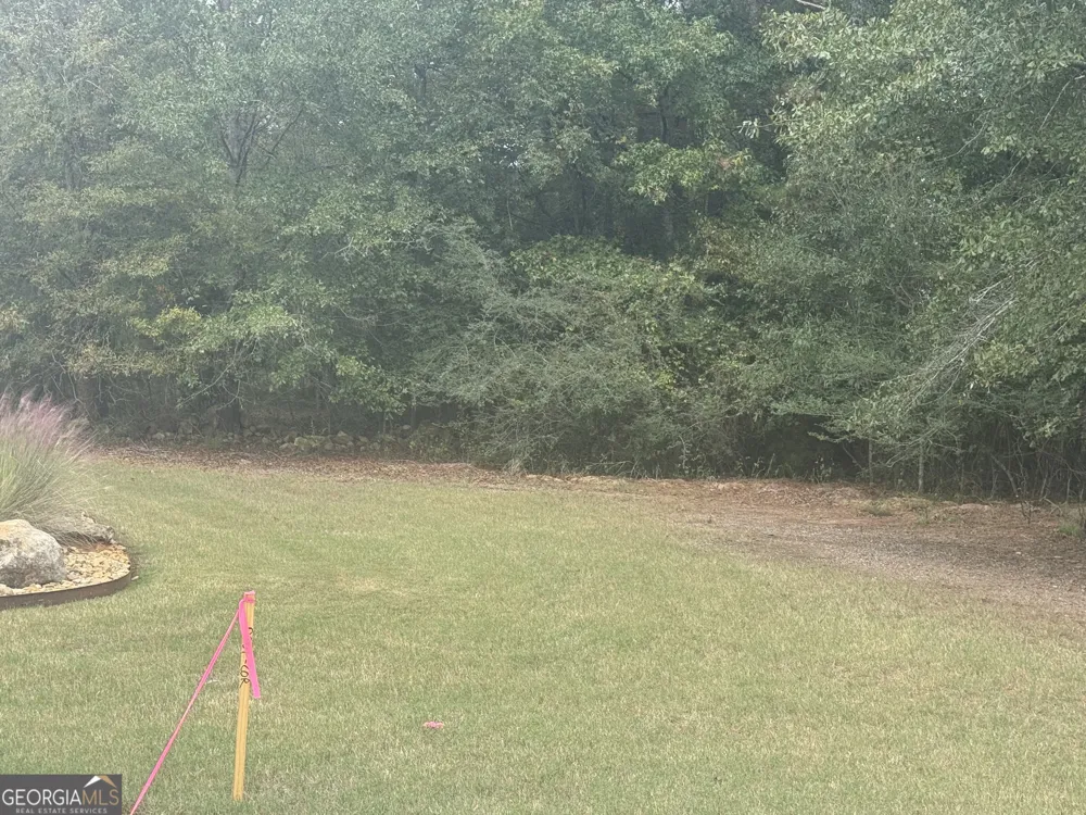 0 Hodges Farm RD Mansfield, GA 30055