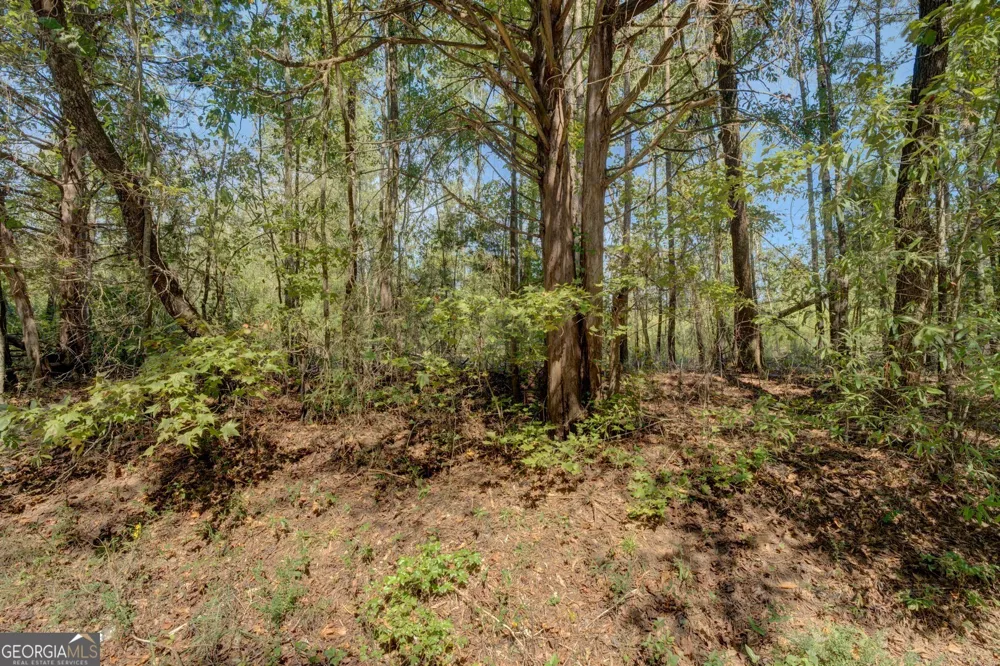 0 Hodges Farm RD Mansfield, GA 30055