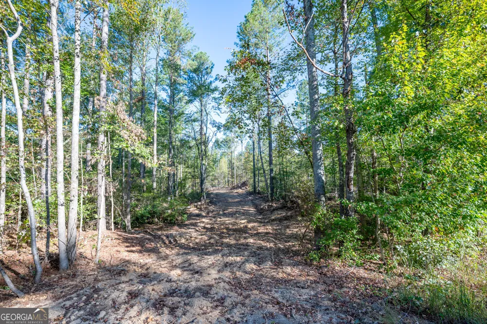 3859 HWY 140 NE Rydal, GA 30171