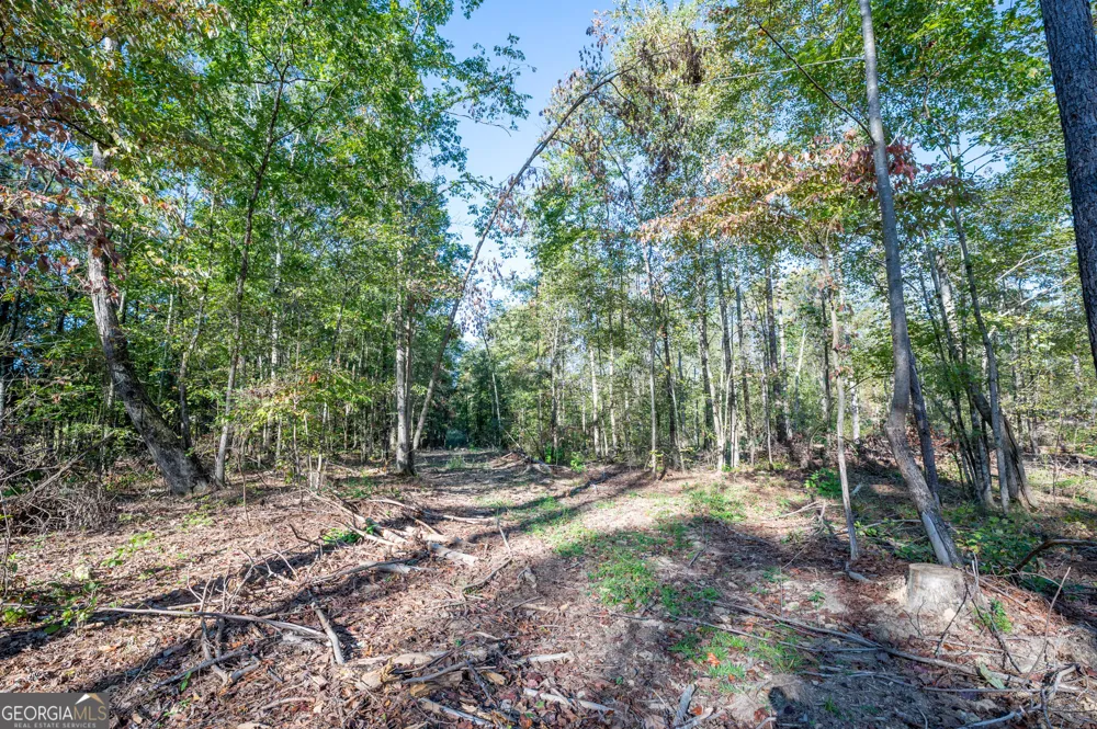 3859 HWY 140 NE Rydal, GA 30171