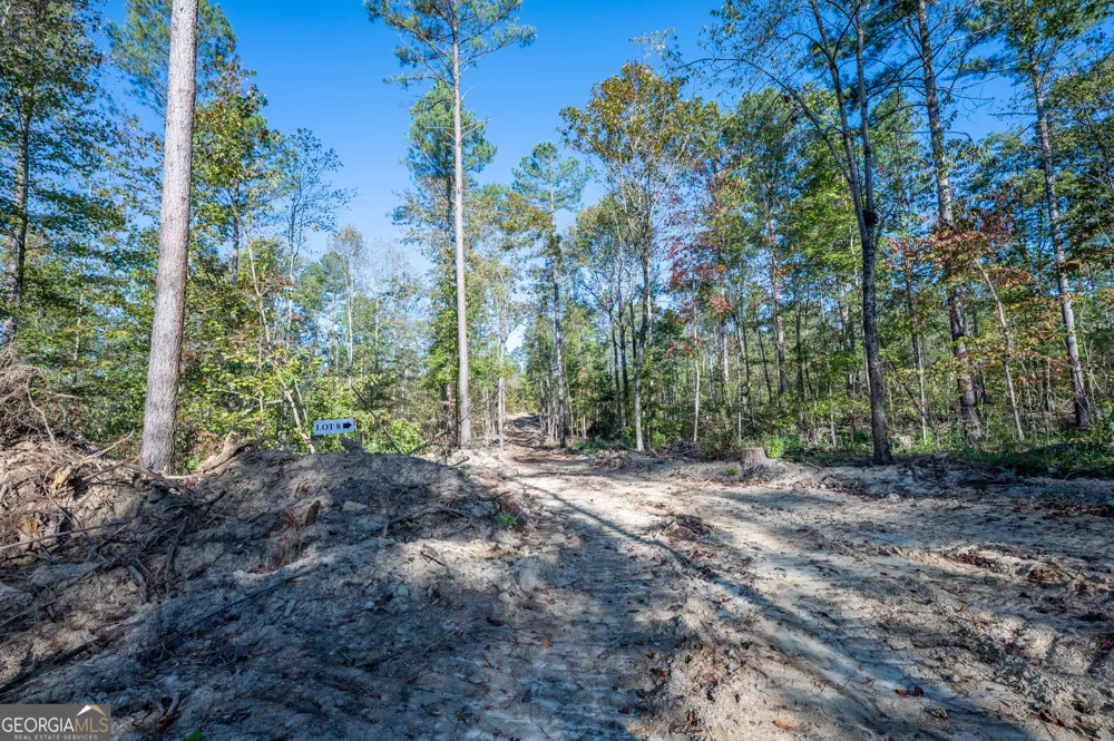 3859 HWY 140 NE Rydal, GA 30171