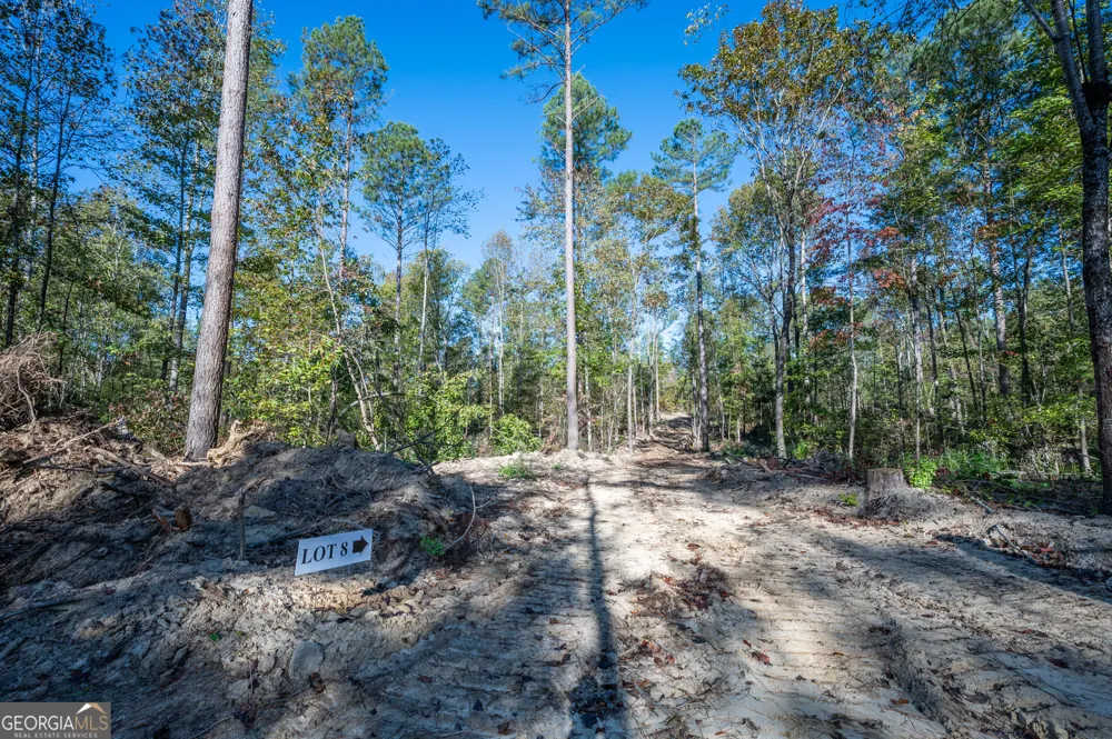 3859 HWY 140 NE Rydal, GA 30171