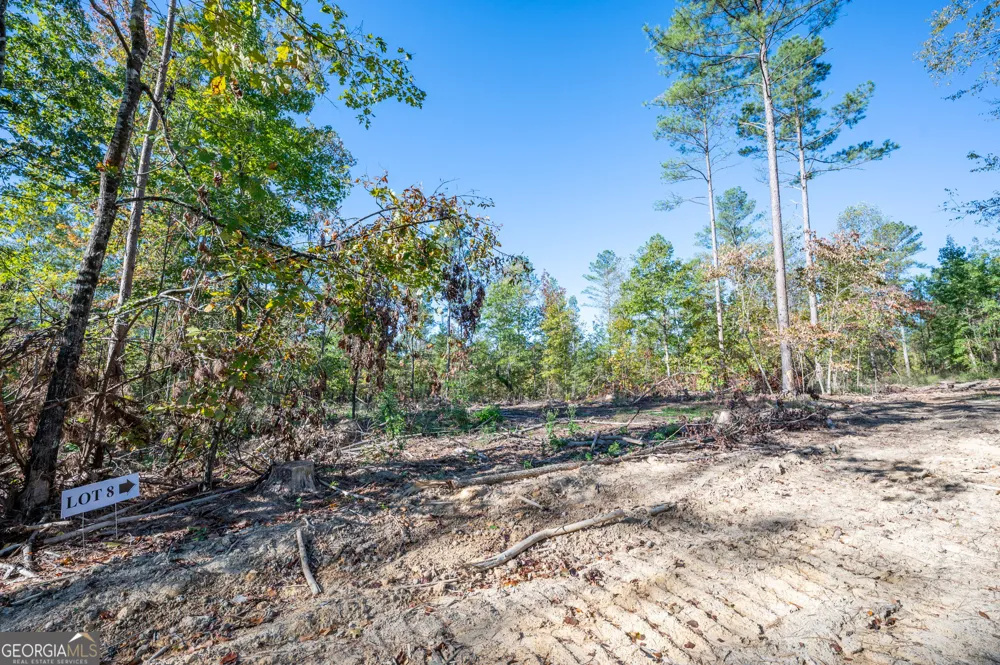 3859 HWY 140 NE Rydal, GA 30171
