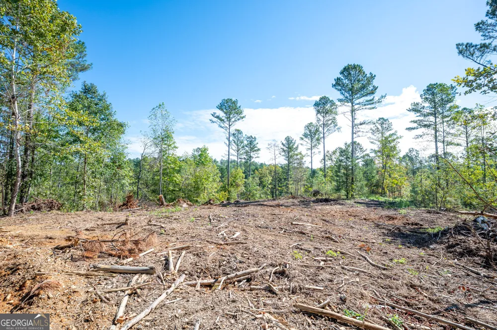 3797 HWY 140 NE Rydal, GA 30171