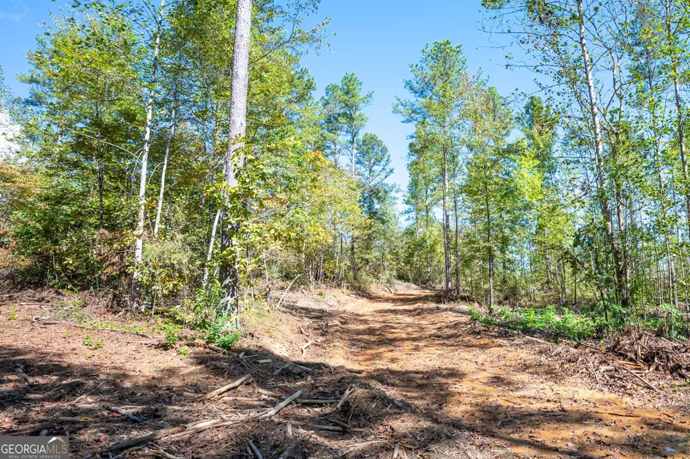3797 HWY 140 NE Rydal, GA 30171