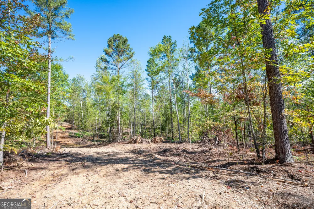 3797 HWY 140 NE Rydal, GA 30171