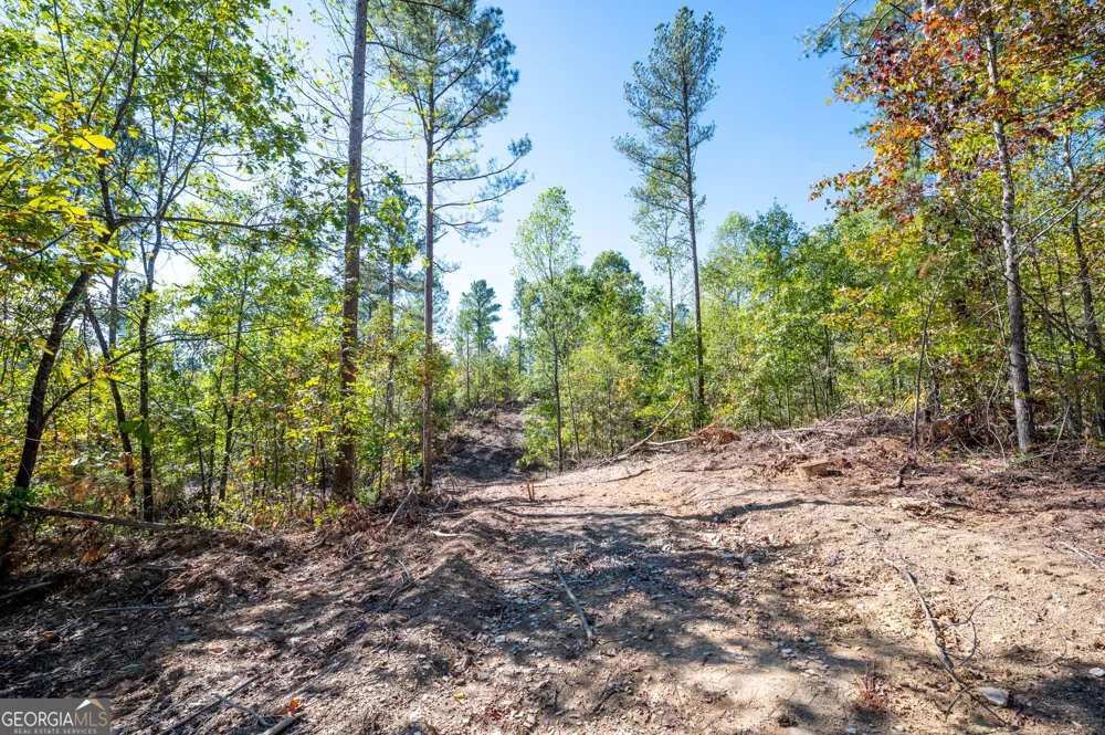 3797 HWY 140 NE Rydal, GA 30171