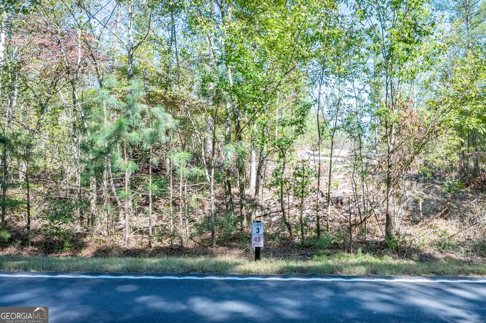 3793 HWY 140 NE Rydal, GA 30171