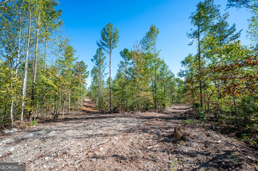 3793 HWY 140 NE Rydal, GA 30171