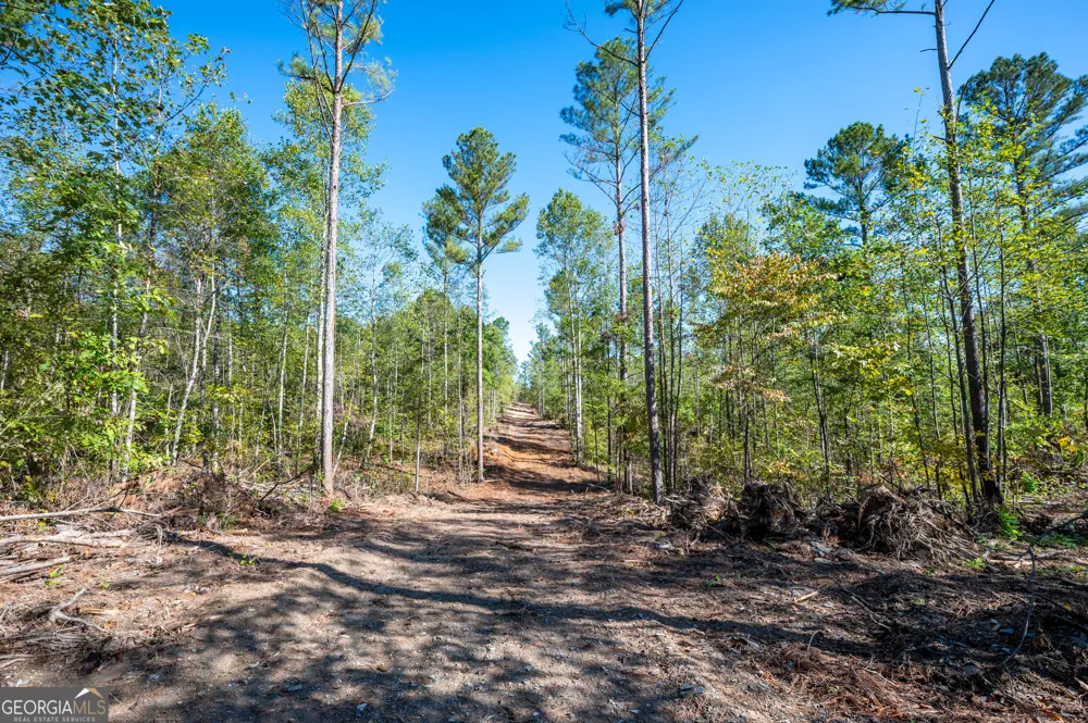 3793 HWY 140 NE Rydal, GA 30171