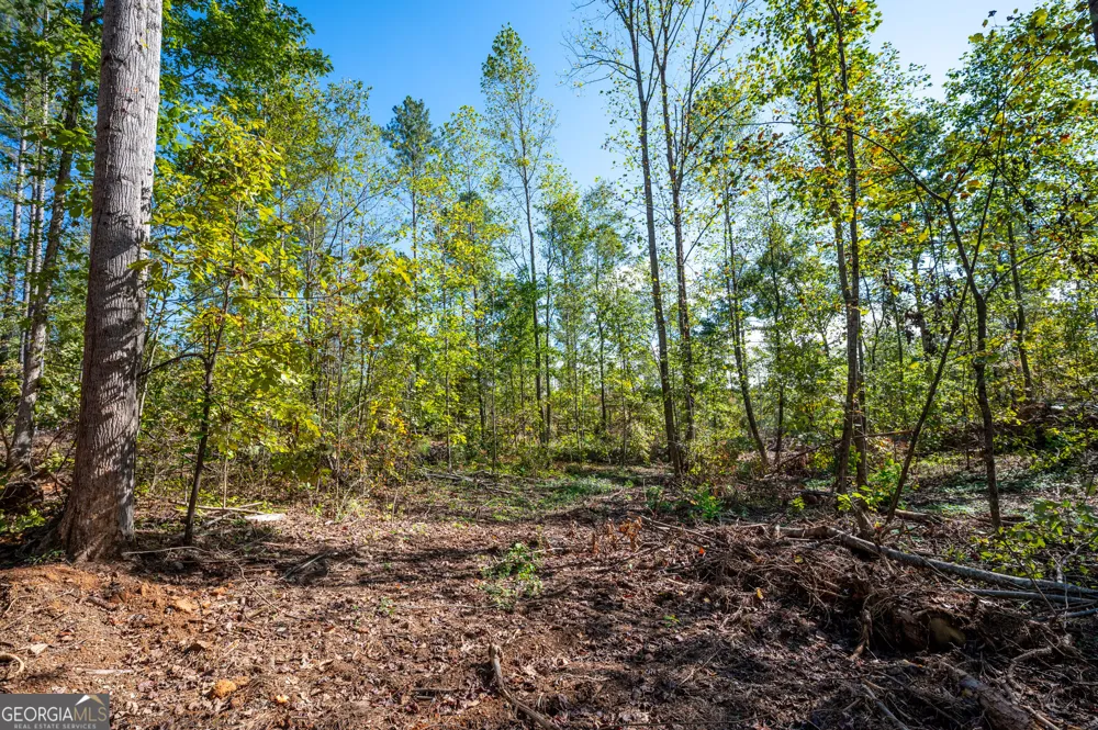 3793 HWY 140 NE Rydal, GA 30171