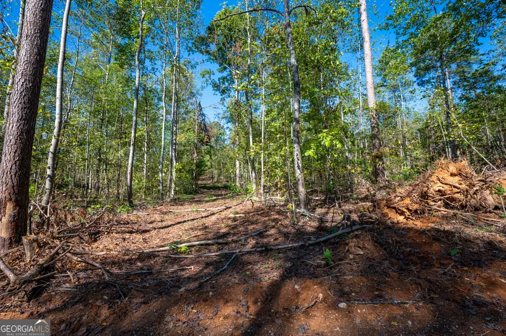 3793 HWY 140 NE Rydal, GA 30171