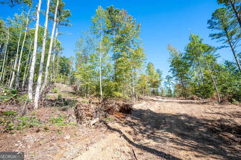 3793 HWY 140 NE Rydal, GA 30171