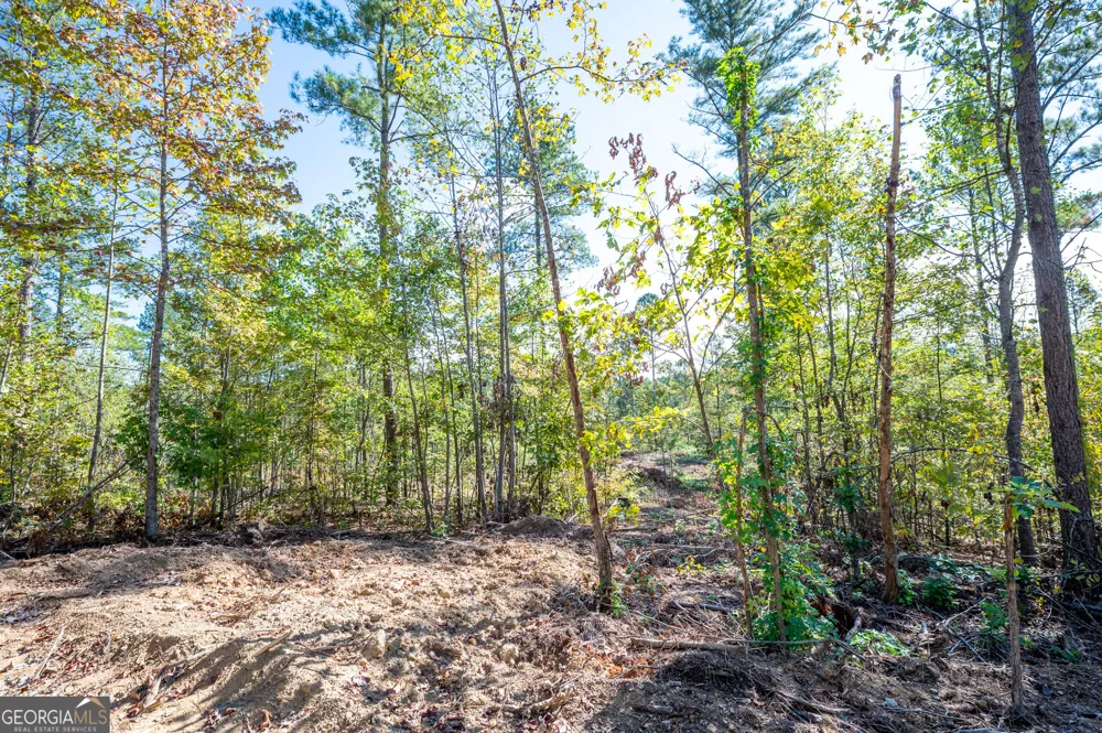 3793 HWY 140 NE Rydal, GA 30171