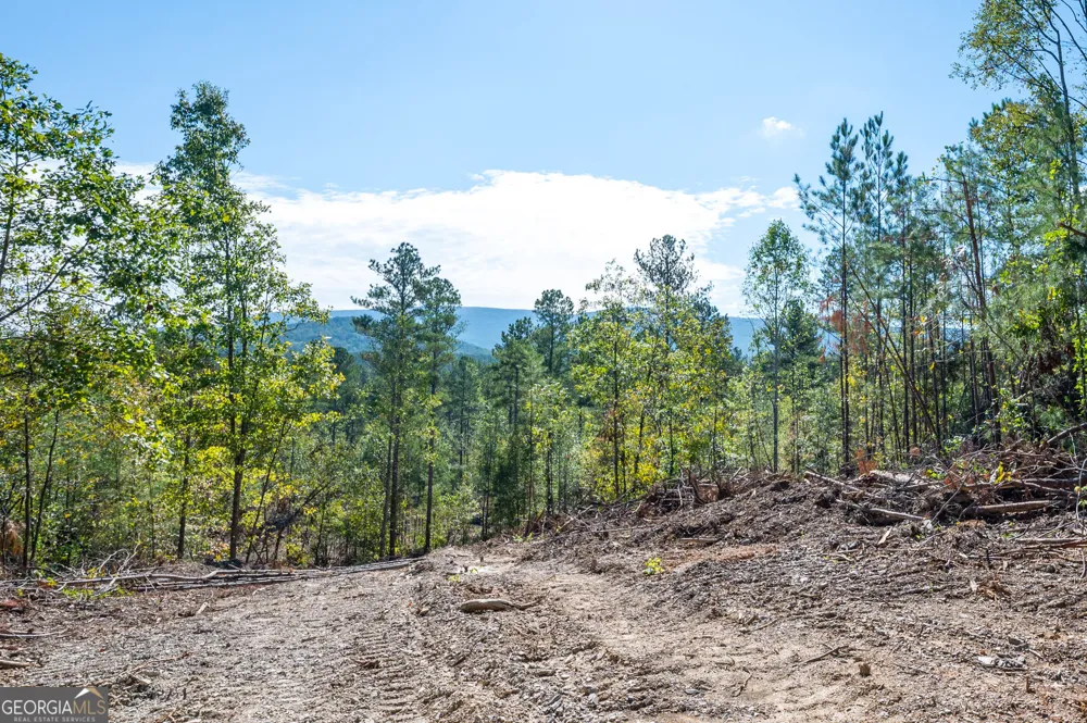 3793 HWY 140 NE Rydal, GA 30171
