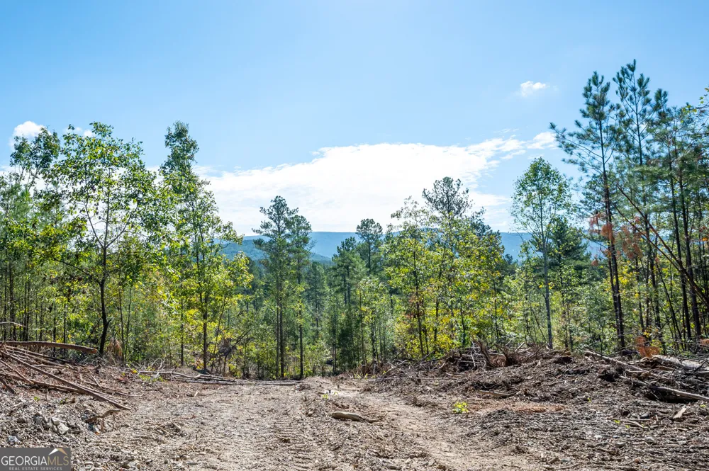 3793 HWY 140 NE Rydal, GA 30171