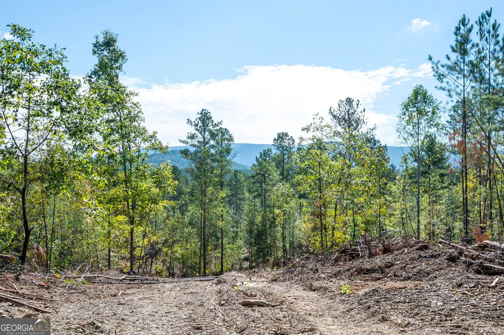 3793 HWY 140 NE Rydal, GA 30171