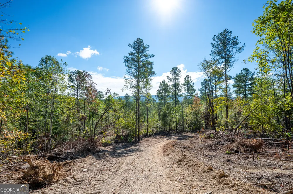 3793 HWY 140 NE Rydal, GA 30171