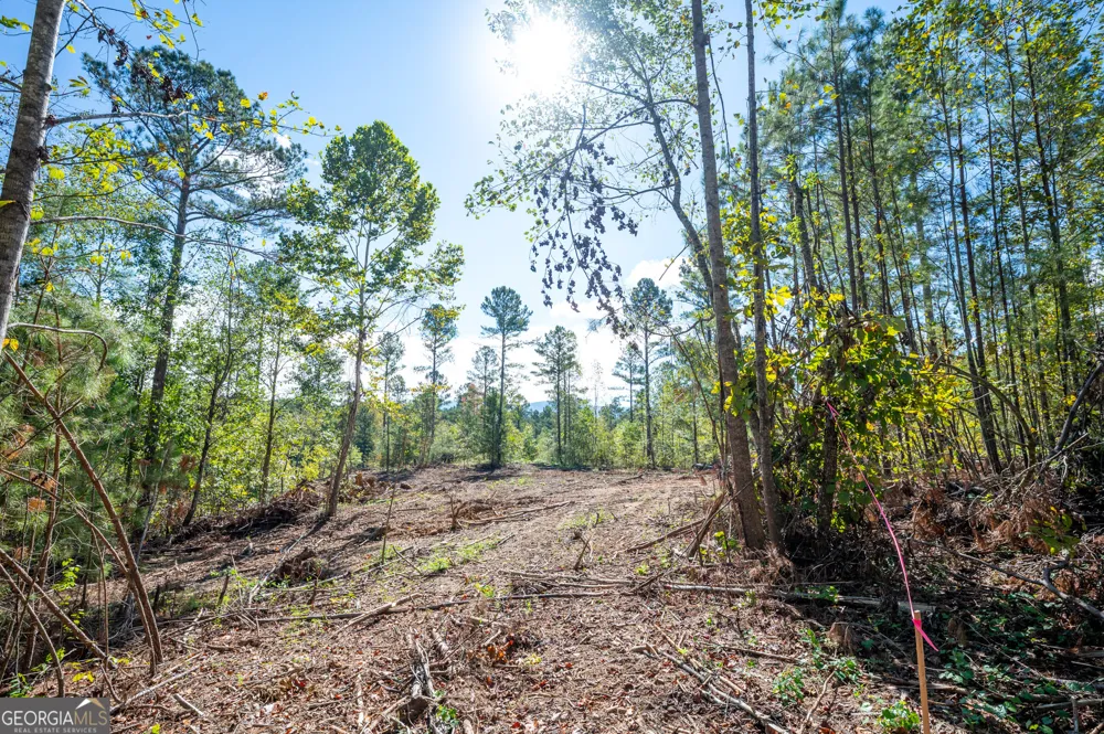 3793 HWY 140 NE Rydal, GA 30171