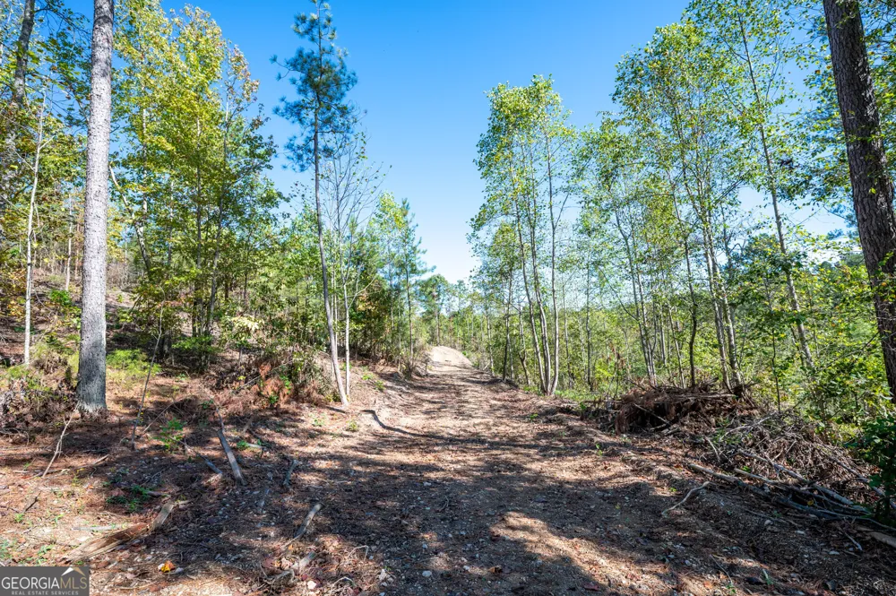 3793 HWY 140 NE Rydal, GA 30171