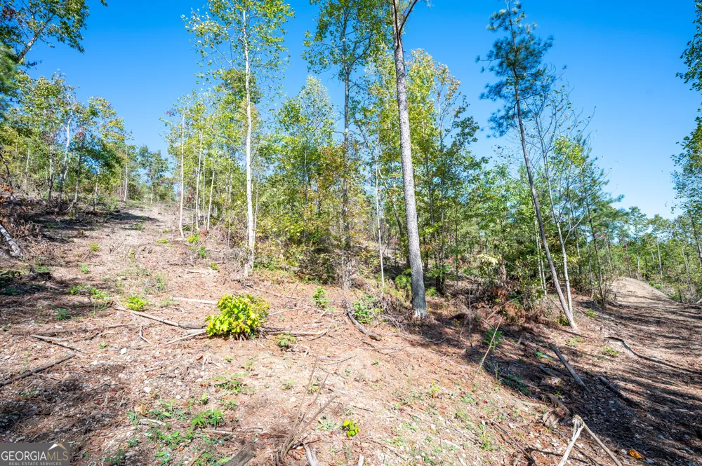 3793 HWY 140 NE Rydal, GA 30171