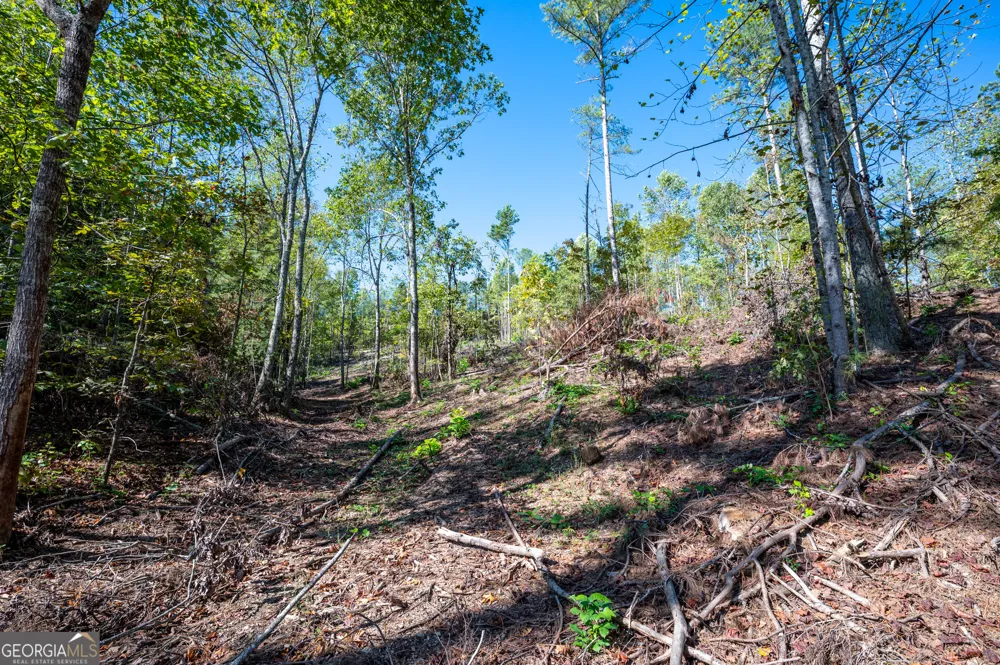 3793 HWY 140 NE Rydal, GA 30171