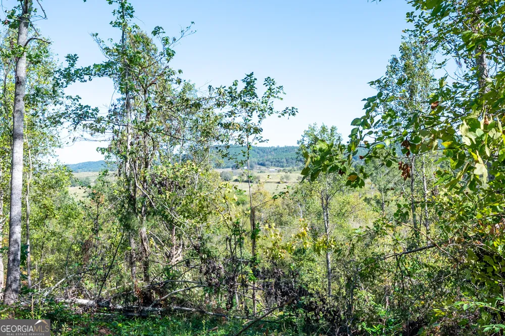3793 HWY 140 NE Rydal, GA 30171