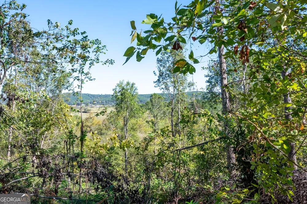 3793 HWY 140 NE Rydal, GA 30171