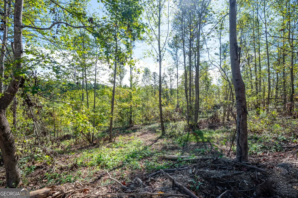 3793 HWY 140 NE Rydal, GA 30171