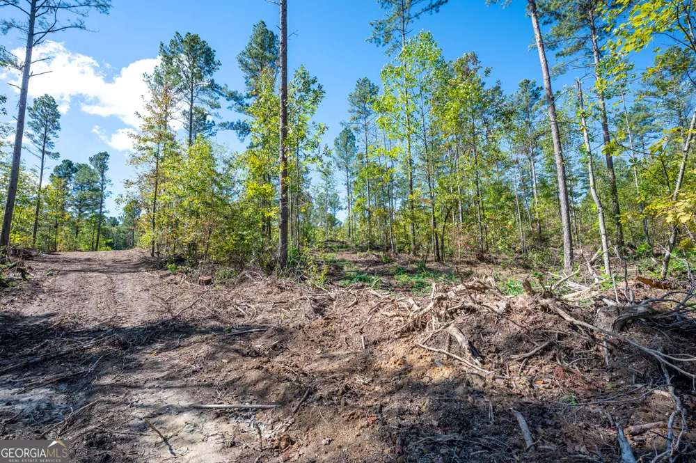 3809 HWY 140 NE Rydal, GA 30171
