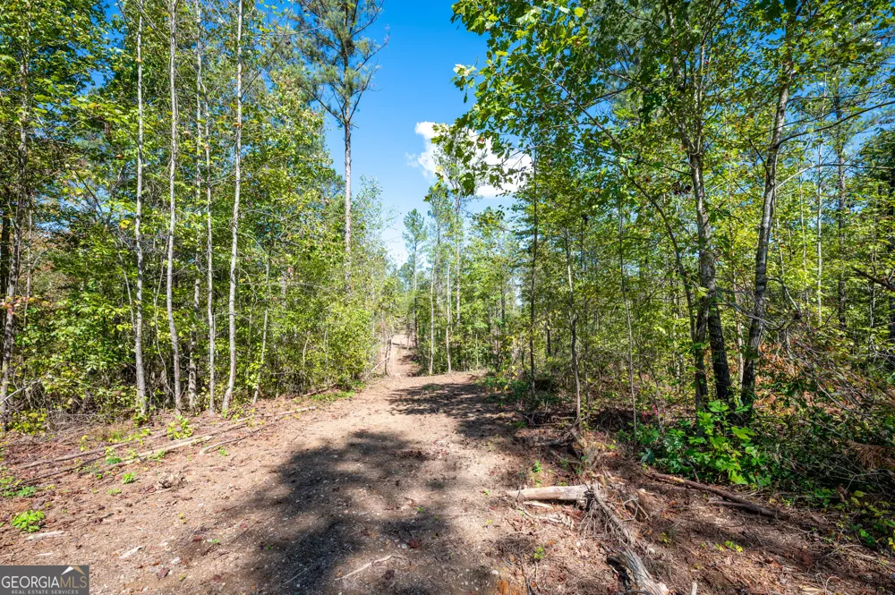 3809 HWY 140 NE Rydal, GA 30171