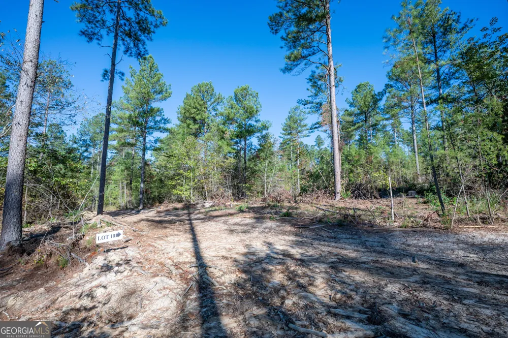 3867 HWY 140 NE Rydal, GA 30171