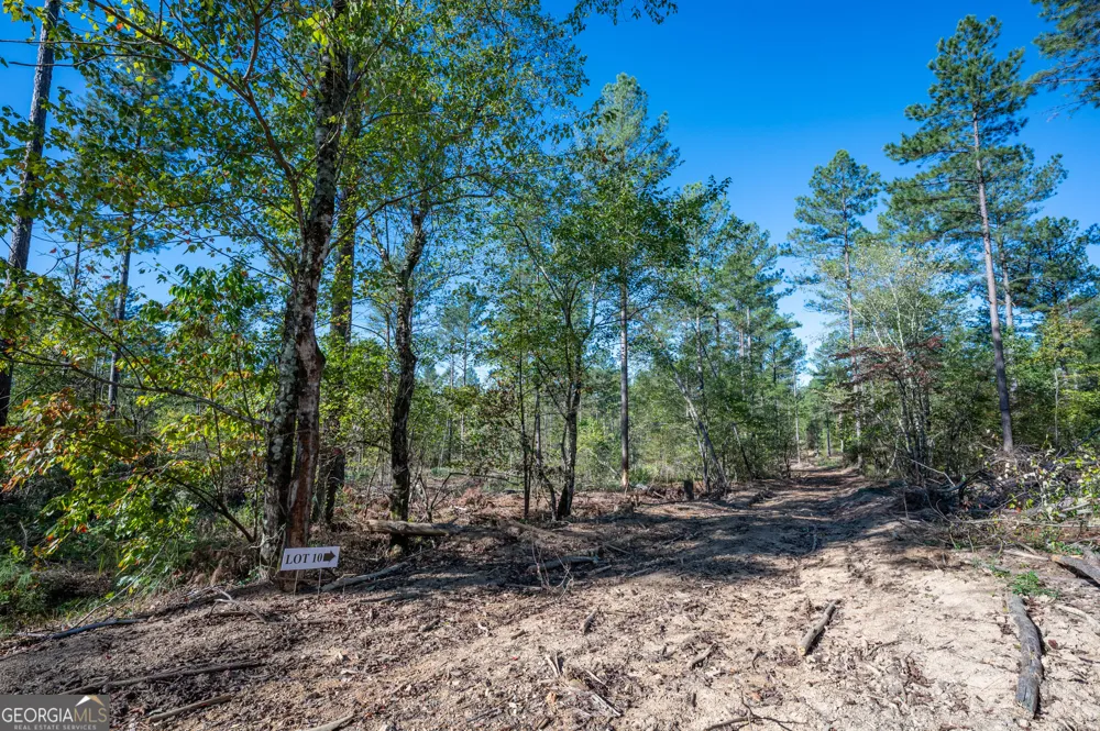 3867 HWY 140 NE Rydal, GA 30171