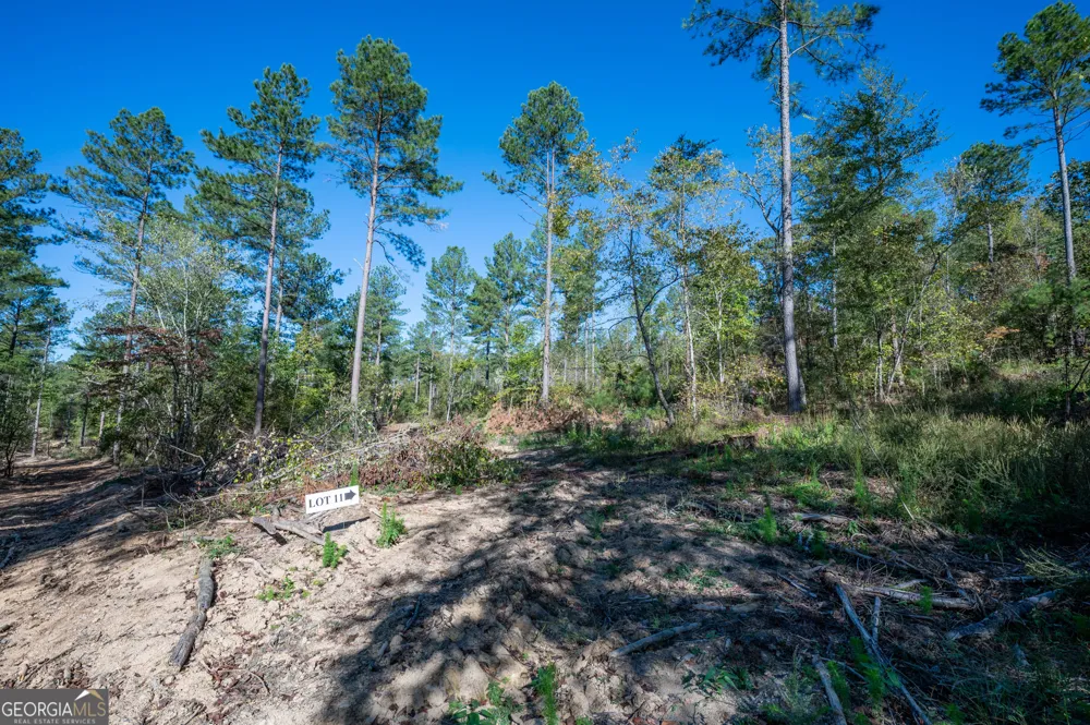 3867 HWY 140 NE Rydal, GA 30171