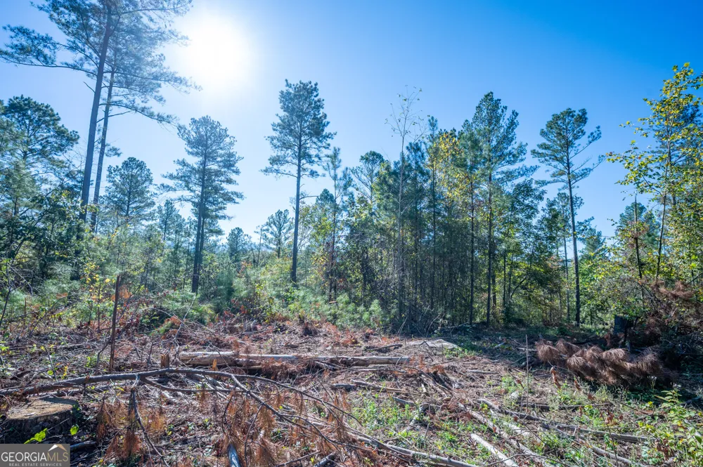 3867 HWY 140 NE Rydal, GA 30171