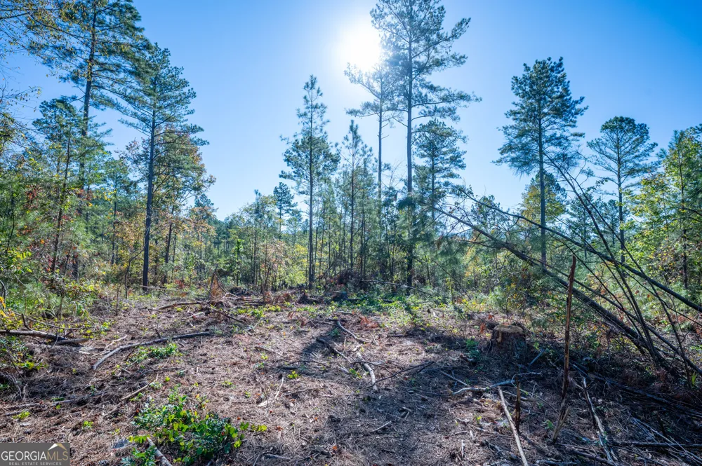 3867 HWY 140 NE Rydal, GA 30171
