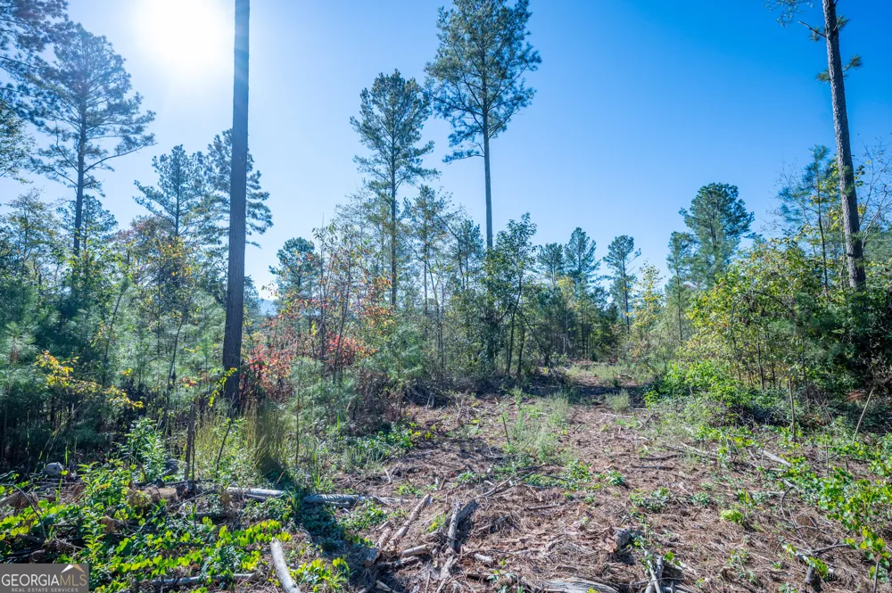 3867 HWY 140 NE Rydal, GA 30171