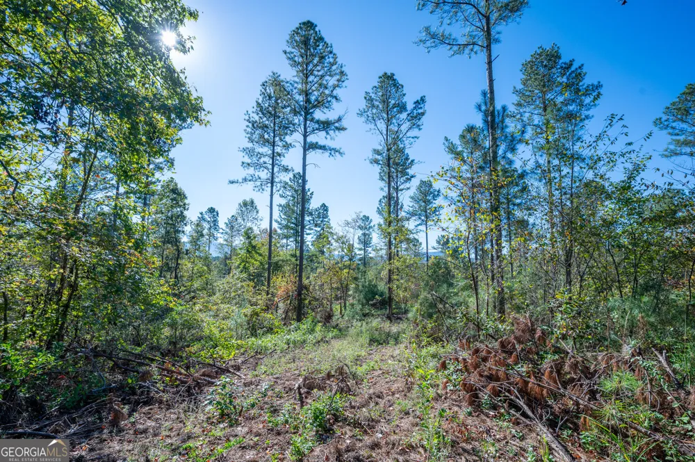 3867 HWY 140 NE Rydal, GA 30171