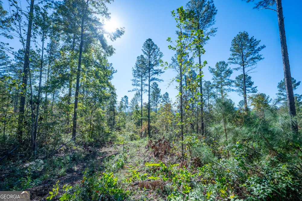 3867 HWY 140 NE Rydal, GA 30171