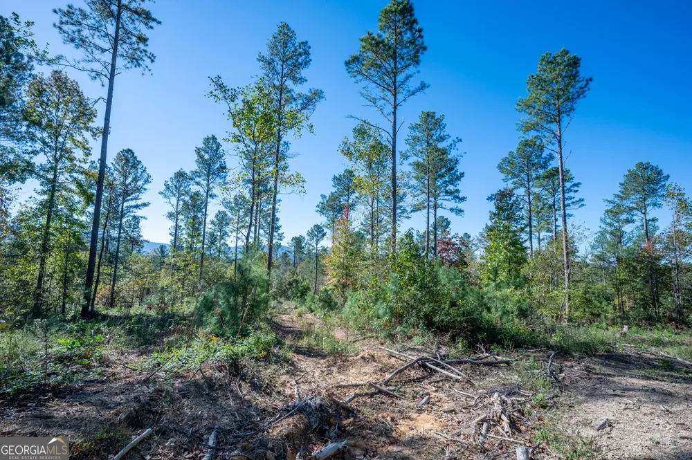 3867 HWY 140 NE Rydal, GA 30171